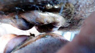 Thanksgiving scat dinner