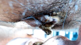 Thanksgiving scat dinner