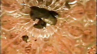 Scat beautiful girl has trouble shitting hard