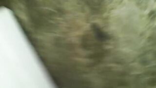 Beautiful green turd closeup