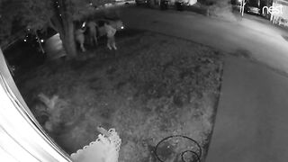 Ass out at peeing party- Door Cam