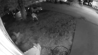 Ass out at peeing party- Door Cam