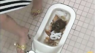 Broken toilet and pile of messy shit