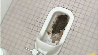 Broken toilet and pile of messy shit