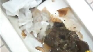 Broken toilet and pile of messy shit