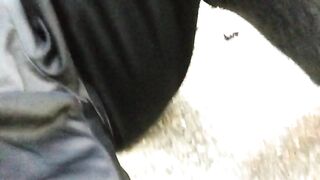 Desperation Pee and Wetting on the Road