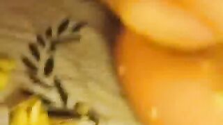 German hot pissing  compilation