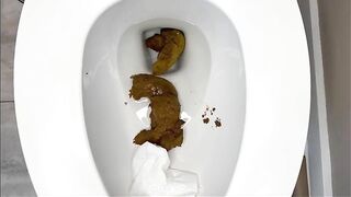 Messy dark shit in the toilet for you