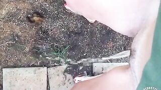 Filming while pissing on the footpath
