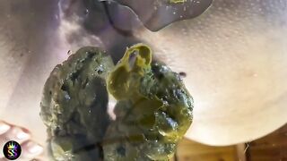 Messy shit on the paper