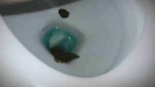 Stunning huge shit and messy shit closeup