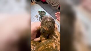 My Sub lick my scat covered cock