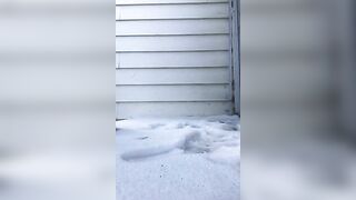 Amateur lady pissing in the snow