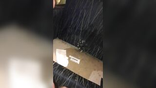 Peeing On The Hotel Room Chair