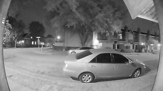 Pee caught on the security cam