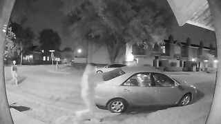 Pee caught on the security cam