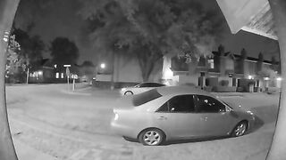 Pee caught on the security cam