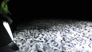 Piss in front of the car- outdoor