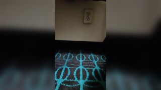 Pissing in my home toilet