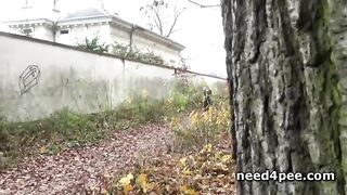 Chicks urinating on the railway
