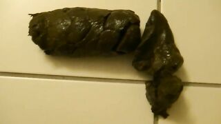 Shaved pussy milf dropping big black turd