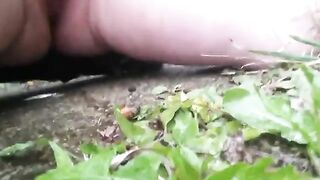 Watering the lawn with piss