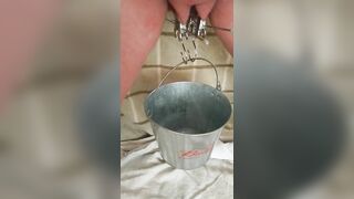 Wife pissing like a fat cow