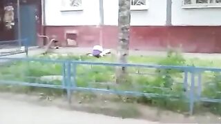 Ass up pants down shitty