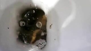 Huge ass and big load