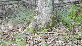 Pretty girl poops in the woods for you