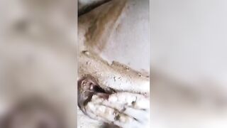Very hot brunette bitch masturbating and shit teasing