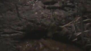 Girl takes a shit with her ass spread wide open