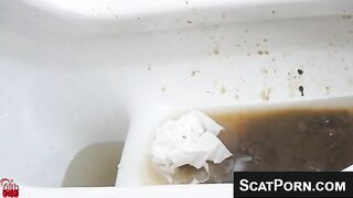 Asian Women Destroys Toilets With Their Messy Scat