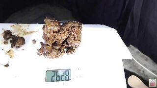 Beautiful face and beautiful smelly poop