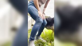 Beautiful girl in the garden