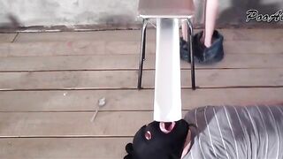 Ral beauty collects shit