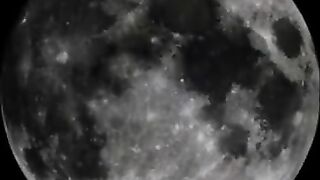 Beauty girl full covered in shit