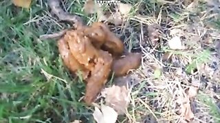 Shit caught by jogger