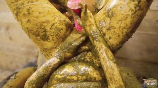 Cowzy Corner with cowshit