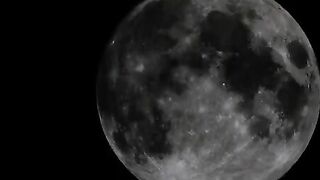 Tattooed slut sucking poop covered cock