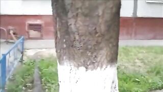 Drunk russian girl passed out after pooping