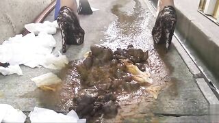 Japanese shitting and pissing