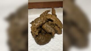 Sexy slut takes a huge ass full of shit in lingerie