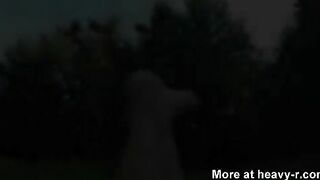 Shits on green grass