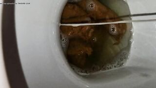 Girl eats her own shit out of a toilet
