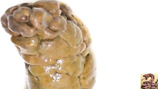 Wet shit protrudes from asshole close-up