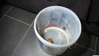 Woman spreads ass cheeks and shits into a bowl