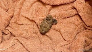 Girl spreads her ass and takes a huge shit in the bathtub