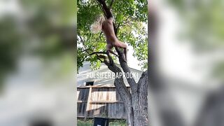 Naked woman takes a big shit out of a tree