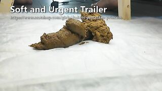 Girl takes a huge shit in a toilet and leaves it for the viewer